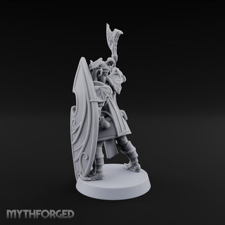 Wings on Every Brow Elf Regal Guard C — Axe & Shield