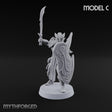 Wings on Every Brow Elf Regal Guard C — Sword & Shield