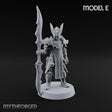 Wings on Every Brow Elf Regal Guard E — Great Swords