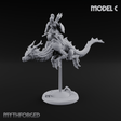 Saddle Riding Hadozee Dragon Riders C Miniature for Dungeons and Dragons, Pathfinder or other TTRPGs