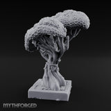 Rope-Bound Blossom-Canopied Sacred Twisted Tree gallery 9