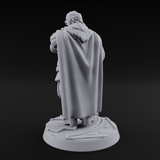 Belly Laughing Human Noble Miniature for Dungeons and Dragons, Pathfinder or other TTRPGs