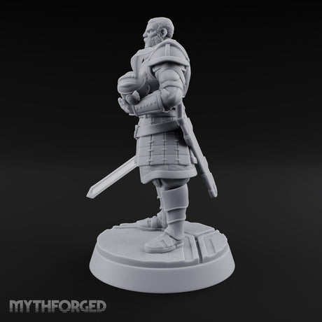 Helm Off, Helm On, Helm Down Human Royal Guard A