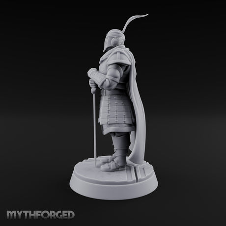 Helm Off, Helm On, Helm Down Human Royal Guard B
