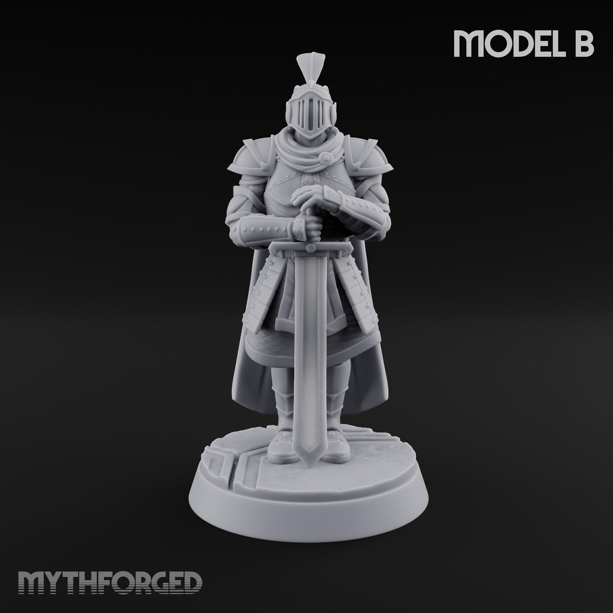 Helm Off, Helm On, Helm Down Human Royal Guard B