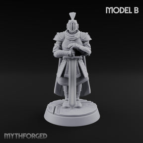 Helm Off, Helm On, Helm Down Human Royal Guard B
