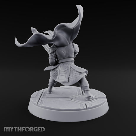 Helm Off, Helm On, Helm Down Human Royal Guard C
