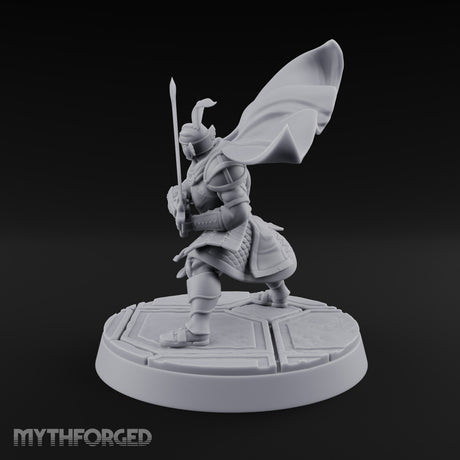 Helm Off, Helm On, Helm Down Human Royal Guard C