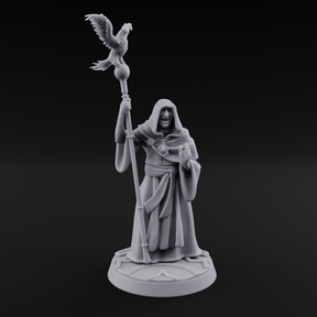 Holier Than Thou Human Priest A Miniature for Dungeons and Dragons, Pathfinder or other TTRPGs
