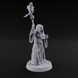 Holier Than Thou Human Priest A Miniature for Dungeons and Dragons, Pathfinder or other TTRPGs