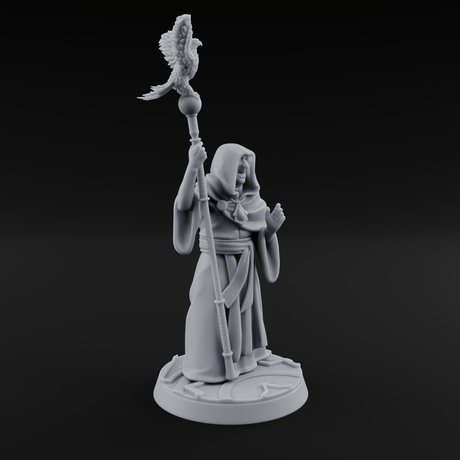 Holier Than Thou Human Priest A Miniature for Dungeons and Dragons, Pathfinder or other TTRPGs