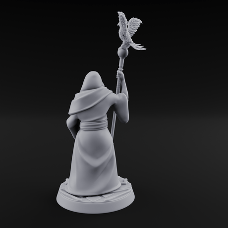 Holier Than Thou Human Priest A Miniature for Dungeons and Dragons, Pathfinder or other TTRPGs
