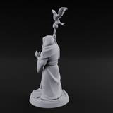 Holier Than Thou Human Priest A Miniature for Dungeons and Dragons, Pathfinder or other TTRPGs