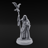 Holier Than Thou Human Priest A Miniature for Dungeons and Dragons, Pathfinder or other TTRPGs