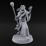 Holier Than Thou Human Priest C Miniature for Dungeons and Dragons, Pathfinder or other TTRPGs