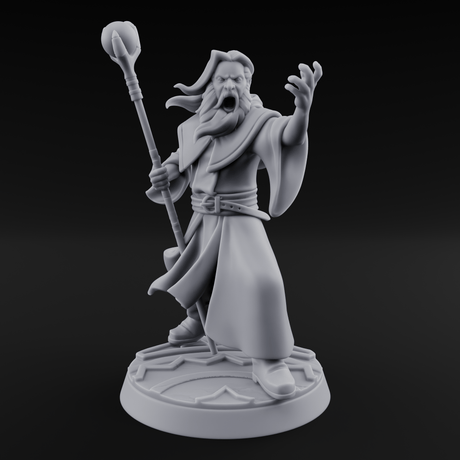 Holier Than Thou Human Priest C Miniature for Dungeons and Dragons, Pathfinder or other TTRPGs