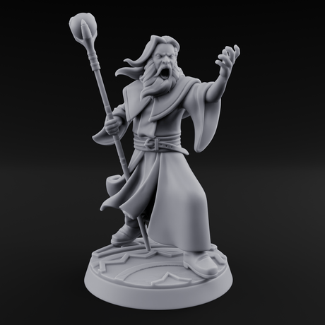 Holier Than Thou Human Priests Miniature for Dungeons and Dragons, Pathfinder or other TTRPGs