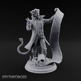 Read the Fine Print Tiefling Bargainer