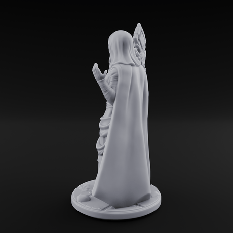 Warmly Welcoming Human Priestess A Miniature for Dungeons and Dragons, Pathfinder or other TTRPGs