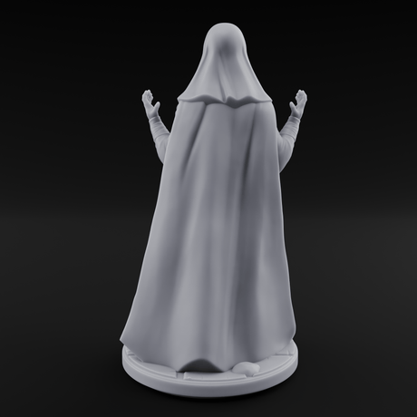 Warmly Welcoming Human Priestess B Miniature for Dungeons and Dragons, Pathfinder or other TTRPGs