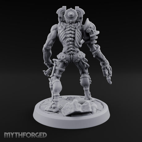 Still Hungry After Upgrades Ghoul Cyborg Warrior D