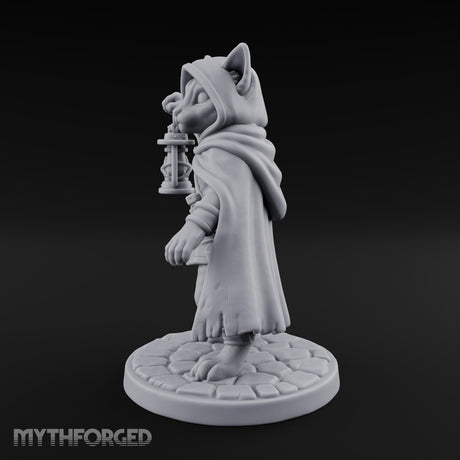 Curiosity Carries a Light Tabaxi Scout