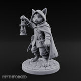 Curiosity Carries a Light Tabaxi Scout
