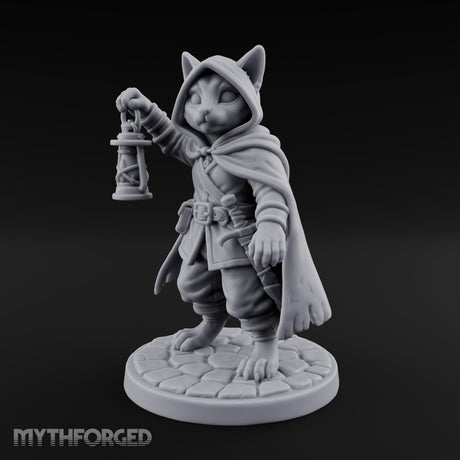 Curiosity Carries a Light Tabaxi Scout