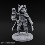 Curiosity Carries a Light Tabaxi Scout