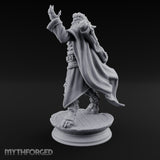 Scroll Brandishing Leonin Sorcerer Miniature for Dungeons and Dragons, Pathfinder or other TTRPGs