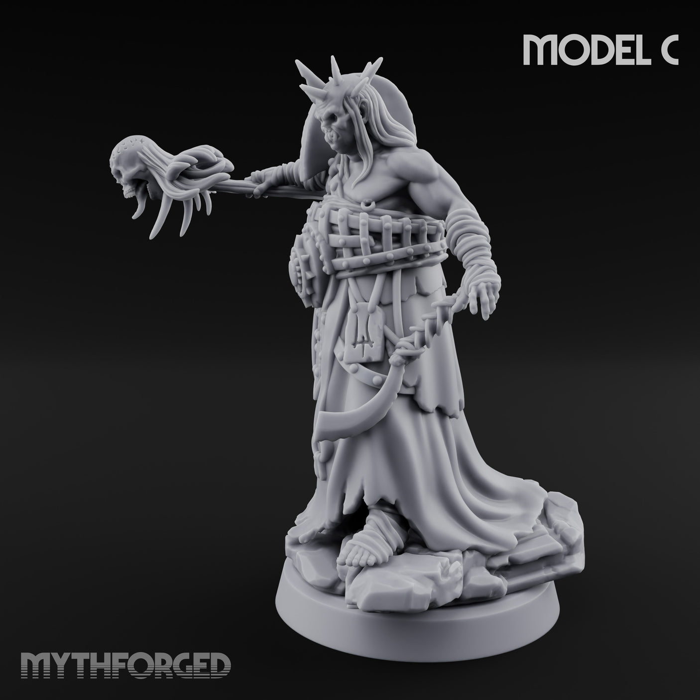 Severed Head Brandishing Cult Champion C gallery 8