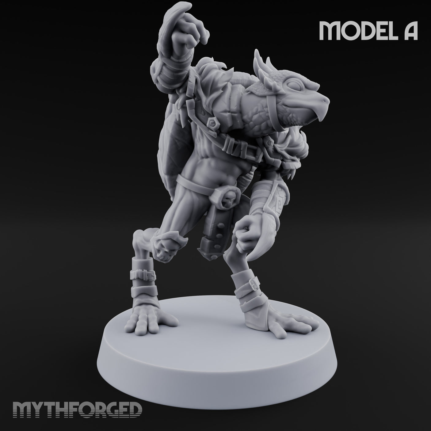 Shell Shocked Brawling Tortle Fighter A gallery 2