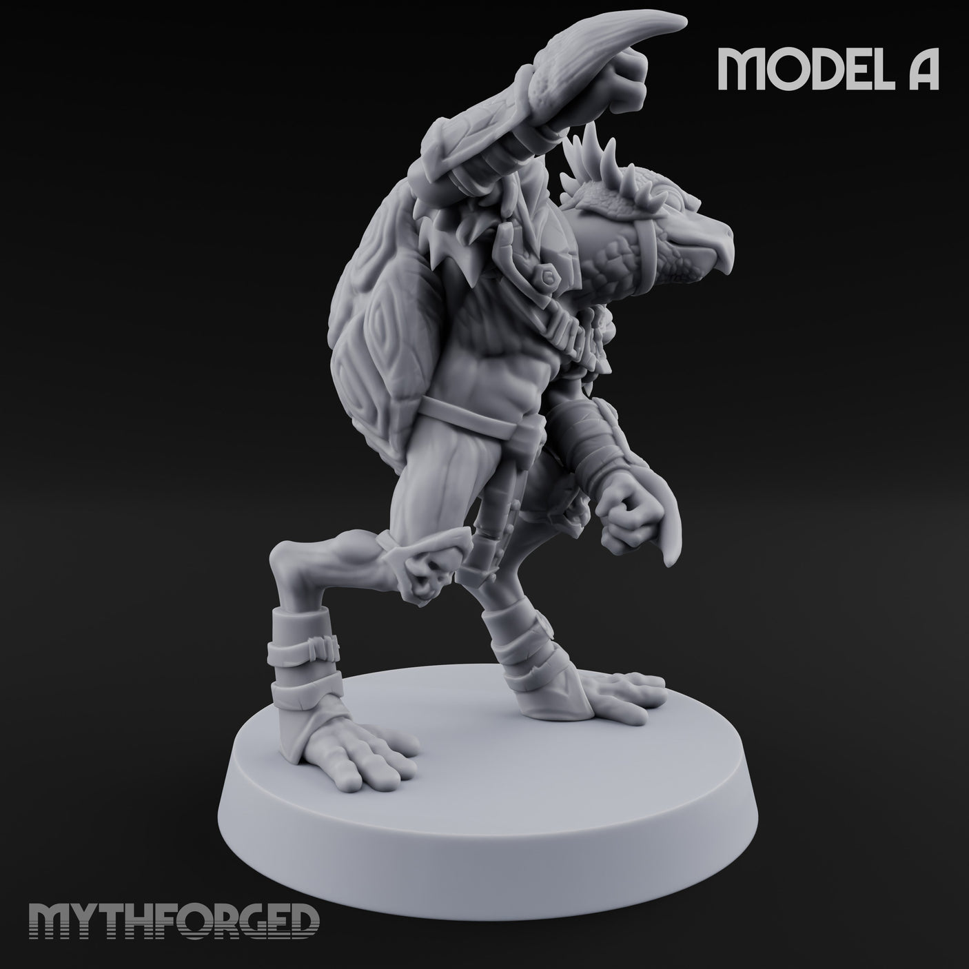 Shell Shocked Brawling Tortle Fighter A gallery 3