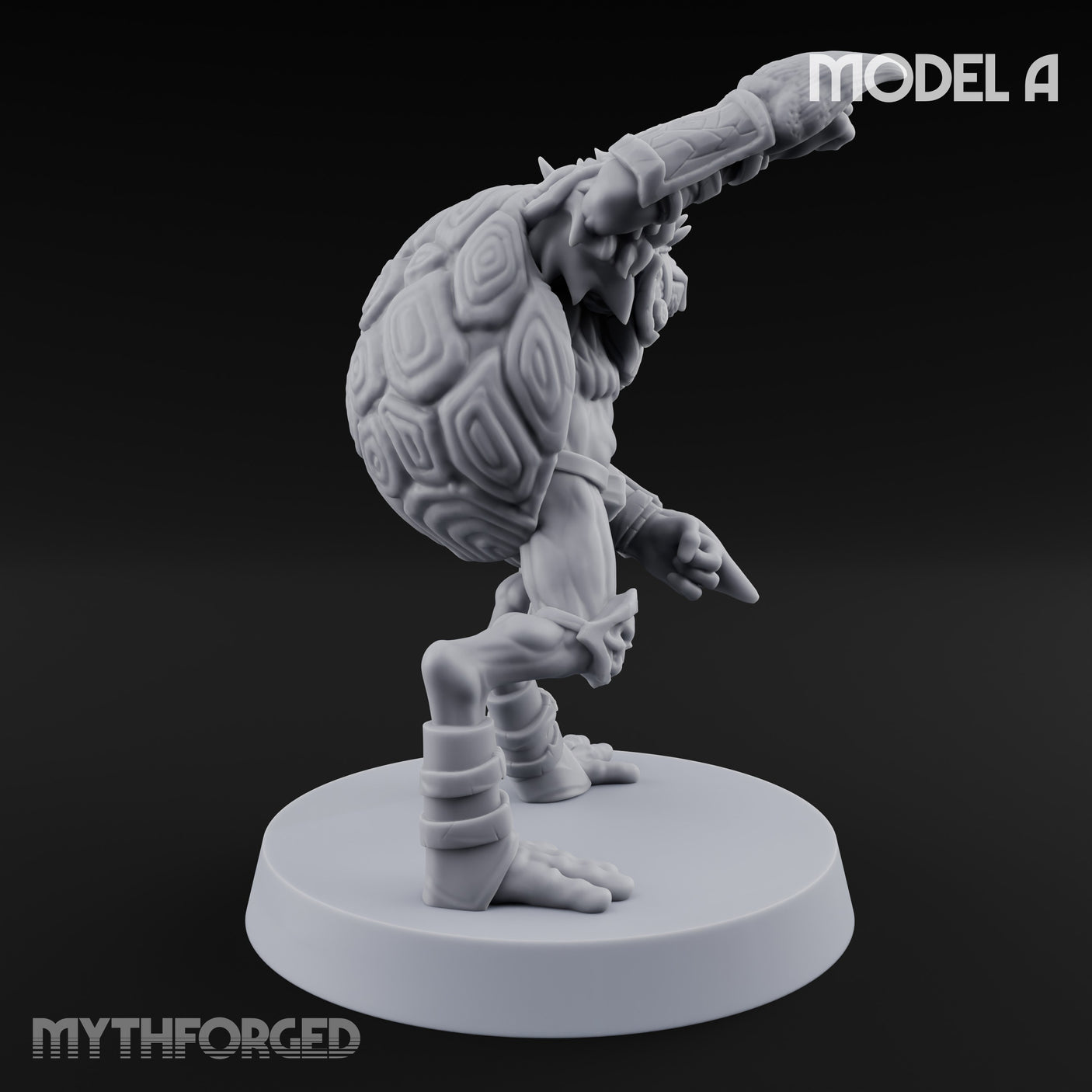 Shell Shocked Brawling Tortle Fighter A gallery 4