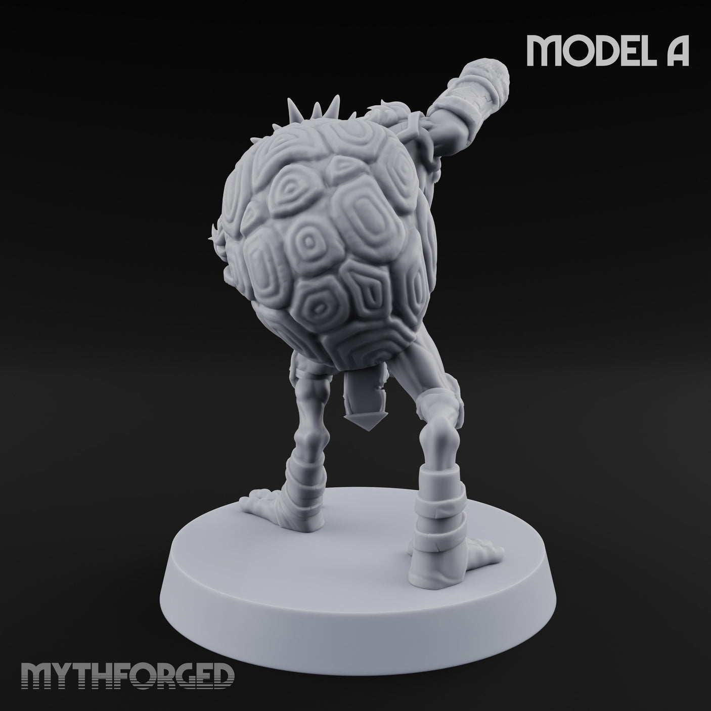 Shell Shocked Brawling Tortle Fighter A gallery 5