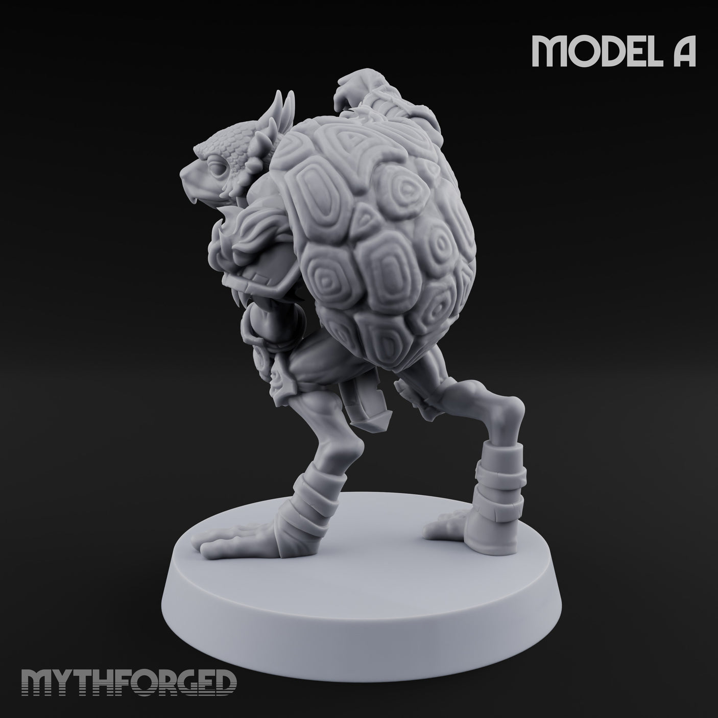 Shell Shocked Brawling Tortle Fighter A gallery 6