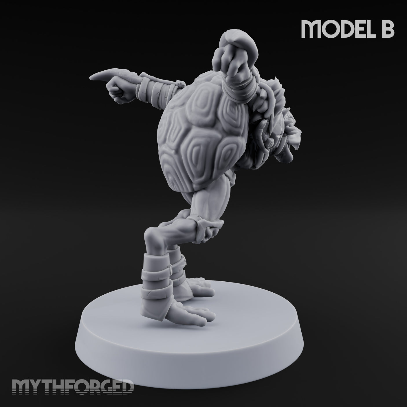 Shell Shocked Brawling Tortle Fighter B gallery 4