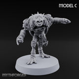 Shell Shocked Brawling Tortle Fighter C gallery 1