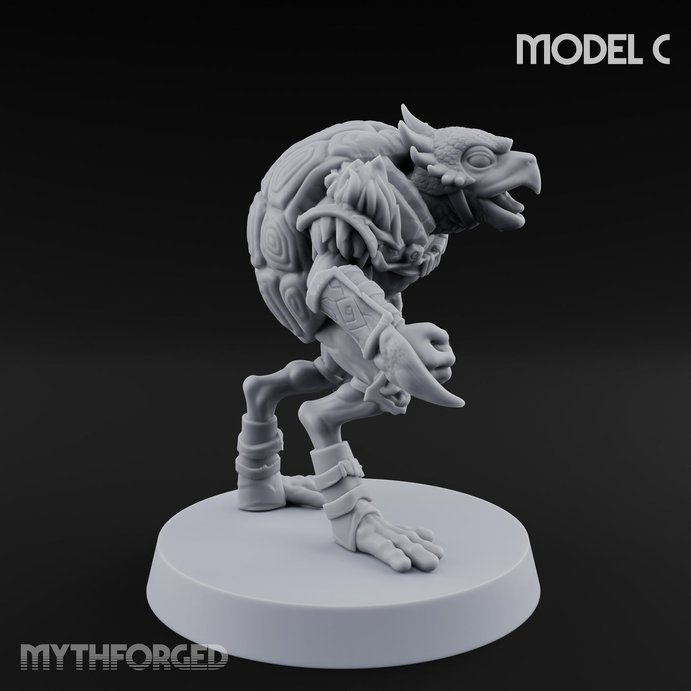 Shell Shocked Brawling Tortle Fighter C gallery 3