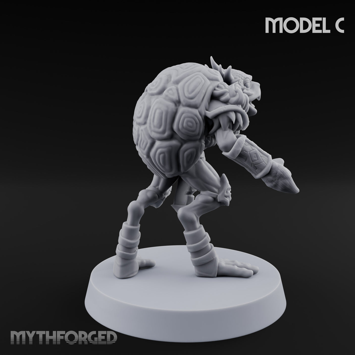 Shell Shocked Brawling Tortle Fighter C gallery 4