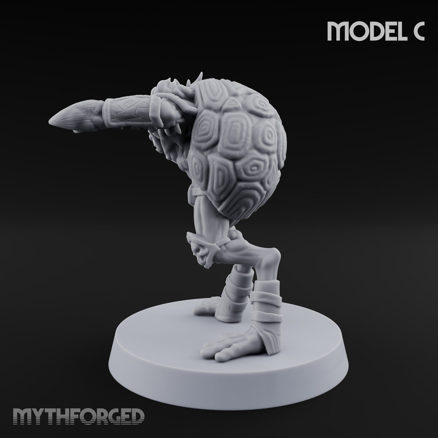 Shell Shocked Brawling Tortle Fighter C gallery 6
