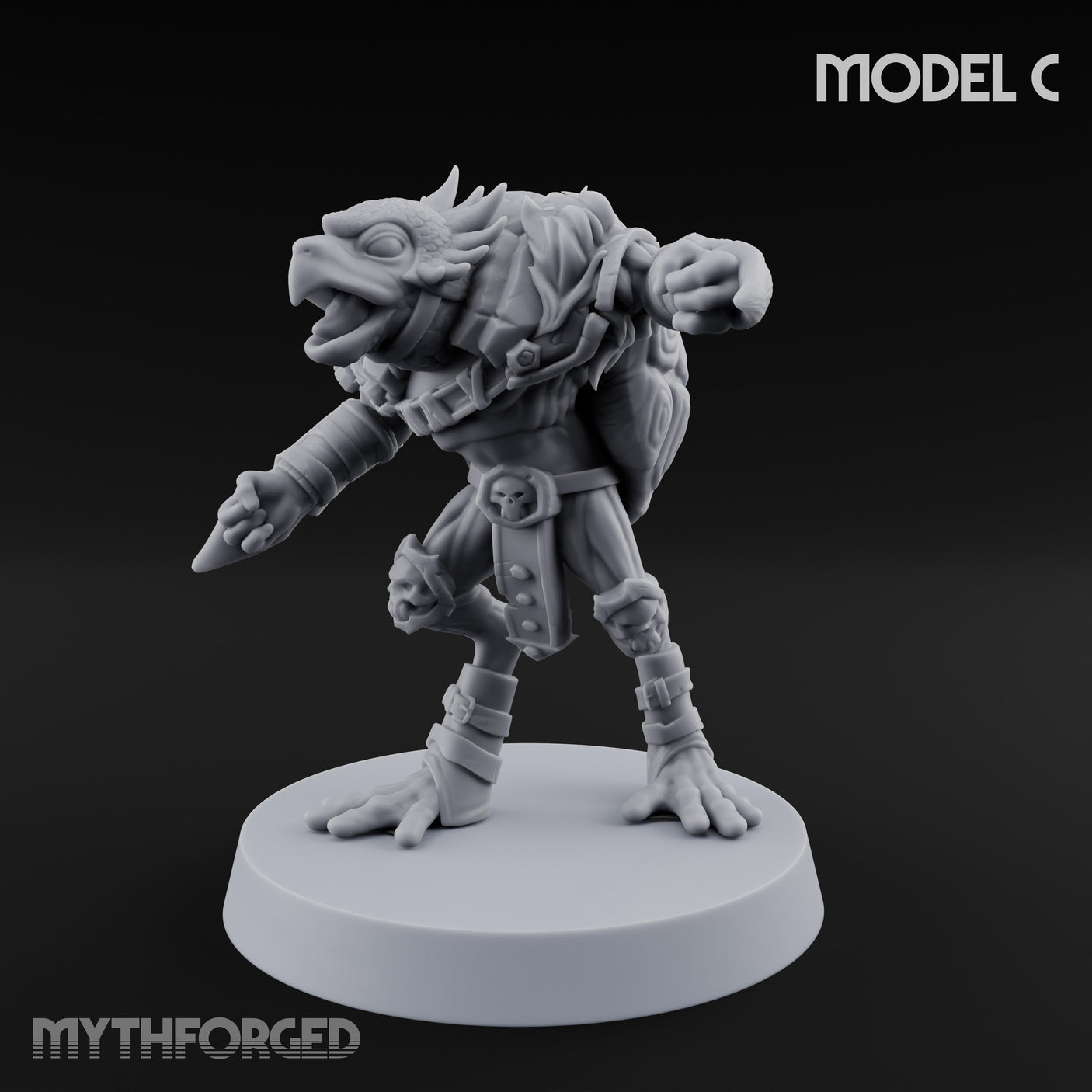 Shell Shocked Brawling Tortle Fighter C gallery 8