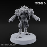 Shell Shocked Brawling Tortle Fighter D
