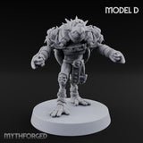 Shell Shocked Brawling Tortle Fighter D gallery 1