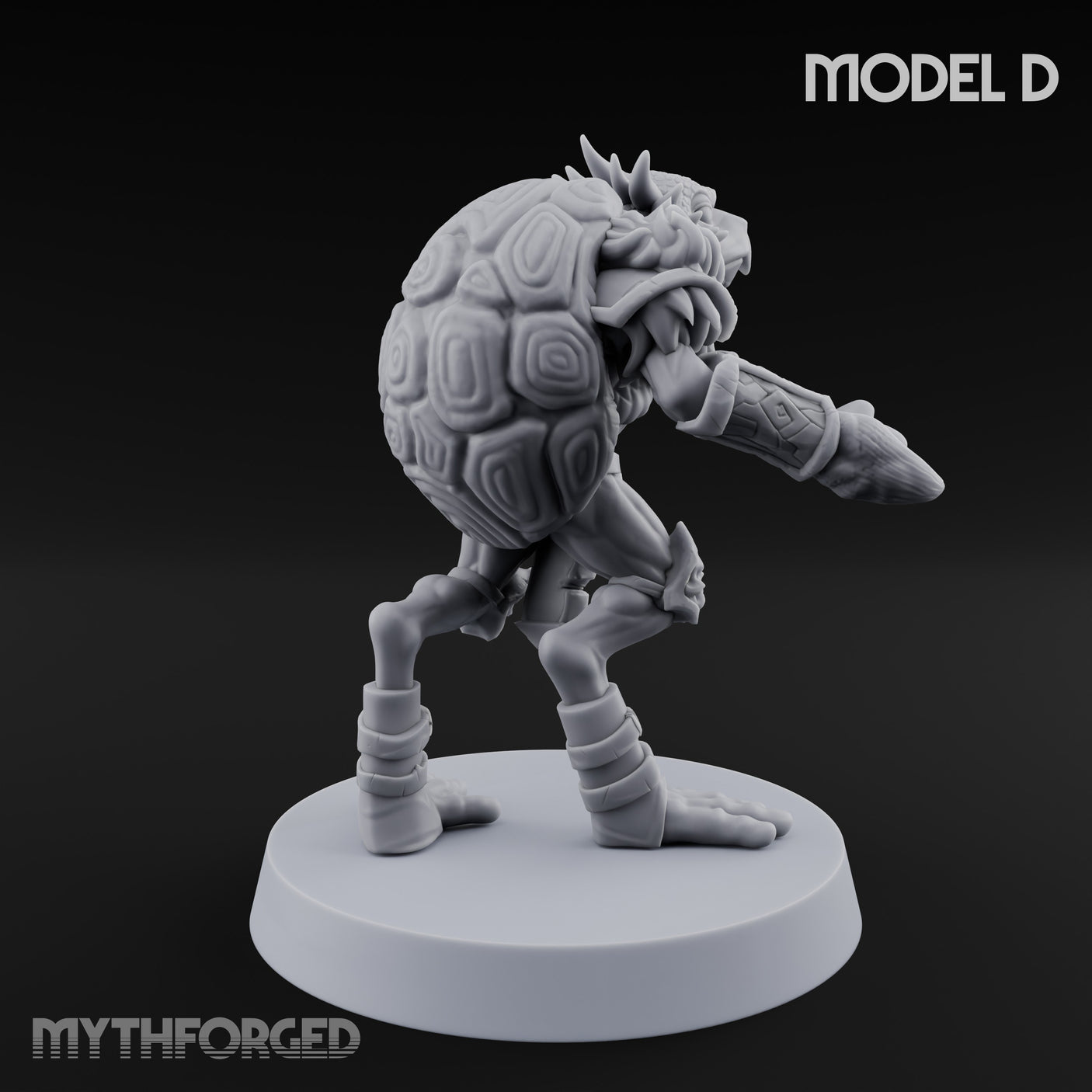 Shell Shocked Brawling Tortle Fighter D gallery 4