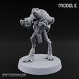Shell Shocked Brawling Tortle Fighter E