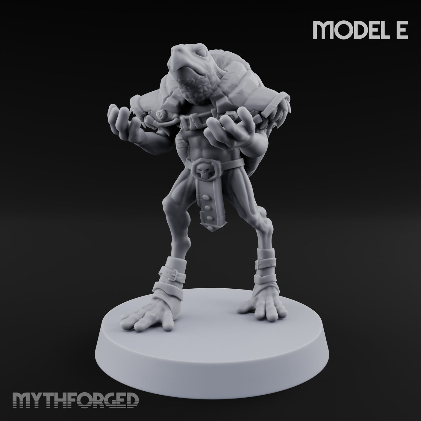 Shell Shocked Brawling Tortle Fighter E
