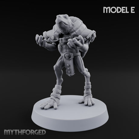 Shell Shocked Brawling Tortle Fighter E