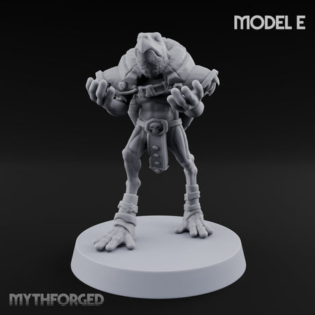 Shell Shocked Brawling Tortle Fighter E gallery 1
