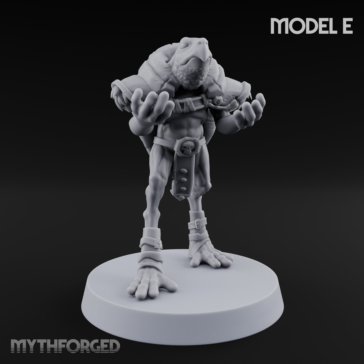 Shell Shocked Brawling Tortle Fighter E gallery 2